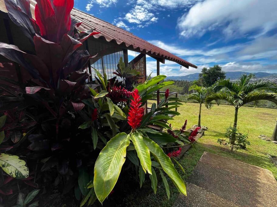 Chalet Zen Bella Vista San Juan  Buitenkant foto